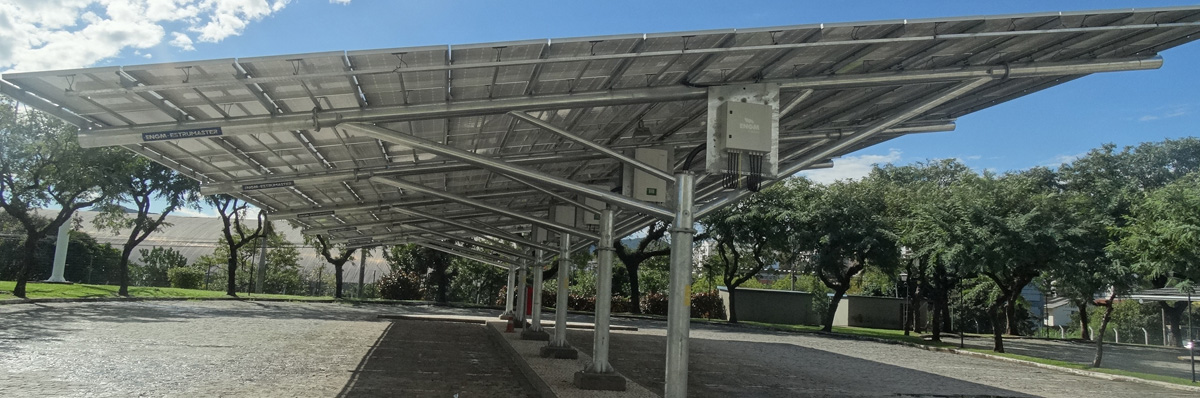 DSC00889 redimencionada