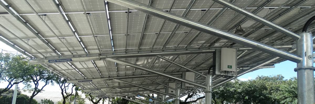 DSC00890 redimencionada